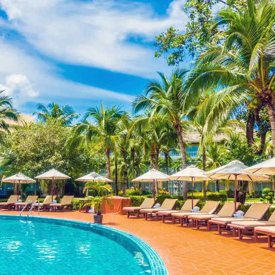 La piscine d'un hôtel bordée de palmiers et de parasols