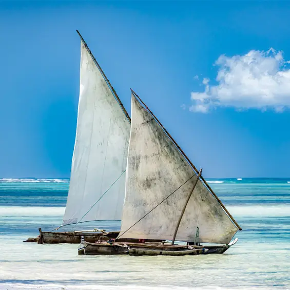 Une pirogue à voile sur la mer